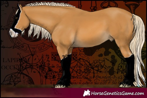 Horse Color:Palomino Splash 