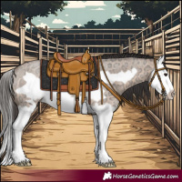Horse Color:Bay Ice Roan Dun Splash Frame Rabicano