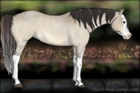 Horse Color:Buckskin Roan Dun Splash