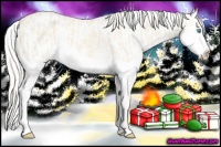 Horse Color:Cremello Splash  and Cremello Splash 