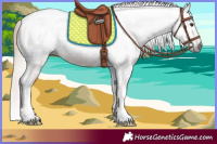 Horse Color:Gray Red Roan Tobiano Blanket 