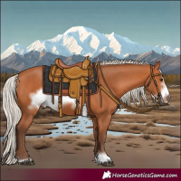 Horse Color:Silver Bay Frame 