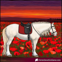 Horse Color:Buckskin Pearl Sabino 