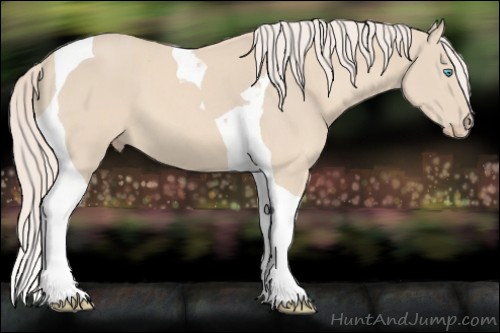 Horse Color:Cremello Tobiano