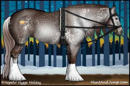 Horse Color:Gray White Spotted Chestnut Rabicano 