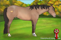 Horse Color:Sable Champagne 