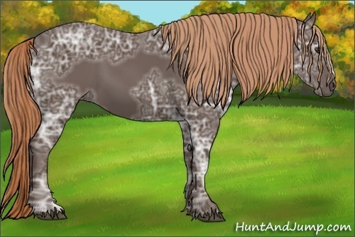Horse Color:Liver Chestnut Ice 