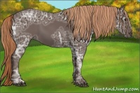 Horse Color:Liver Chestnut Ice 