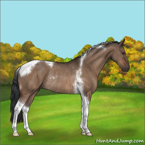 Horse Color:Brown Dun Tobiano Rabicano 