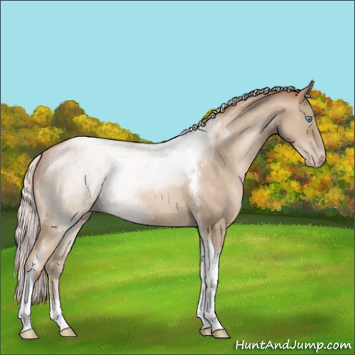 Horse Color:Silver Buckskin Pearl Tobiano Rabicano