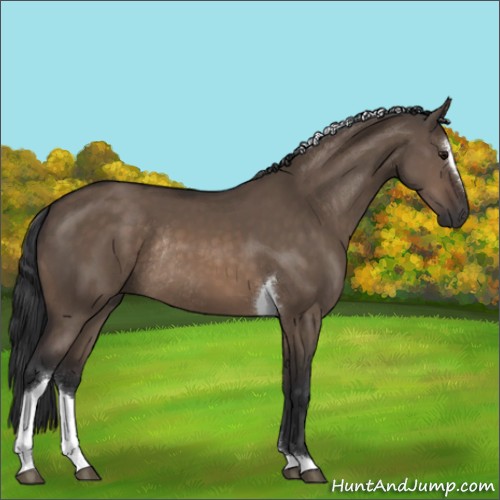 Horse Color:Brown Dun Sabino Tobiano Rabicano