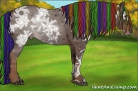 Horse Color:Painted Liver Chestnut Ice