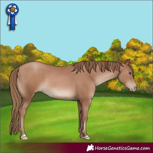 Horse Color:Black Pearl
