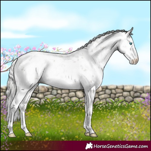 Horse Color:Platinum White Spotted Chocolate Palomino Pearl Sabino 