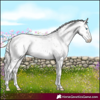 Horse Color:Platinum White Spotted Chocolate Palomino Pearl Sabino 