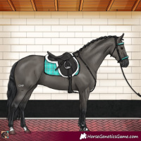 Horse Color:Grullo 