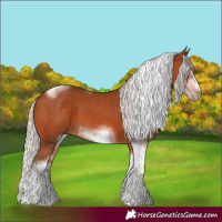 Horse Color:White Spotted Silver Bay Tobiano Frame 