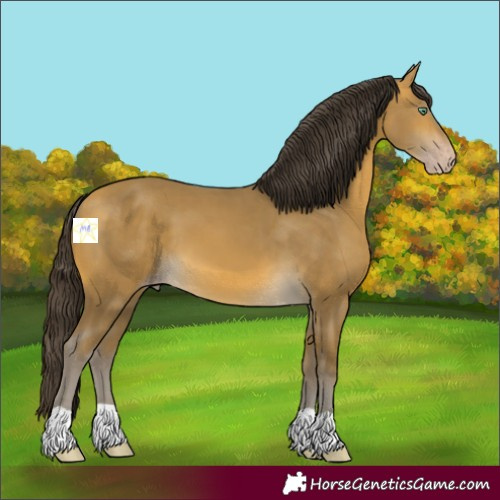 Horse Color:Sable Cream Champagne 