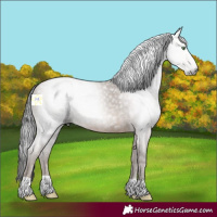 Horse Color:Gray Sable Champagne 