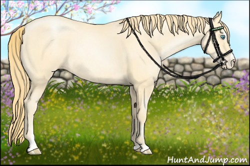 Horse Color:Buckskin Pearl Sabino 