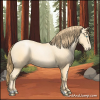 Horse Color:Buckskin Pearl Sabino 
