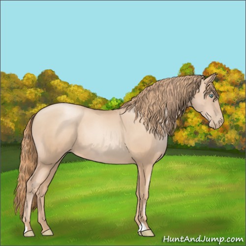Horse Color:Gold Champagne Pearl Rabicano  and Gold Champagne Pearl Rabicano 