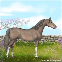 Horse Color:Liver Red Dun Mushroom 