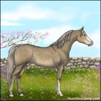 Horse Color:Chocolate Palomino Dun Mushroom 