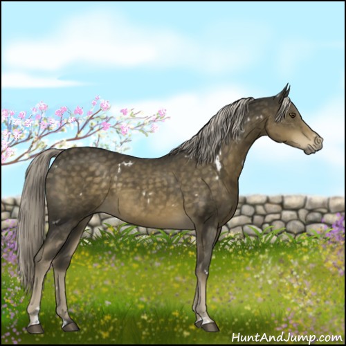 Horse Color:White Spotted Chocolate Palomino Mushroom Sabino 