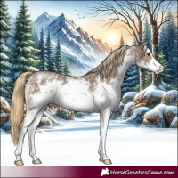 Horse Color:White Spotted Chocolate Palomino Sabino 