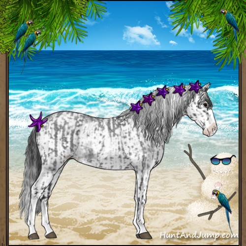 Horse Color:Blue Roan Sabino Splash  and White Spotted Blue Roan Splash 