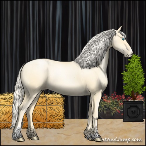 Horse Color:Palomino Pearl Sabino 