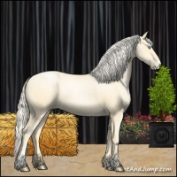 Horse Color:Palomino Pearl Sabino