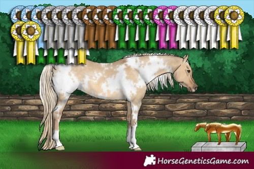 Horse Color:White Spotted Chocolate Palomino Dun 