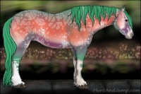 Horse Color:Watercolor White Spotted Brown Ice Onyx