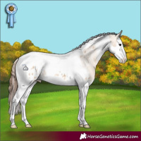 Horse Color:Bay Dun Splash Tobiano Blanket Rabicano 