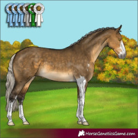 Horse Color:Gray Silver Buckskin Dun Sabino 