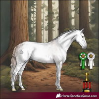 Horse Color:Gray White Spotted Brown  and White Spotted Gold Champagne 