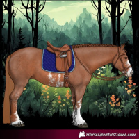 Horse Color:Chestnut Sabino