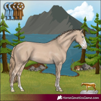 Horse Color:Smoky Creme Sabino