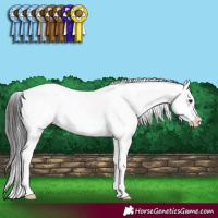 Horse Color:Smoky Black Sabino 