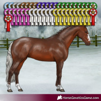 Horse Color:Silver Brown