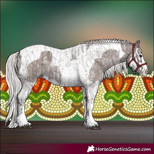 Horse Color:Silver Blue Roan Splash Tobiano  and Silver Blue Roan Splash Tobiano 