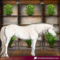 Horse Color:Perlino Sabino and Perlino Sabino