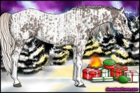 Horse Color:Silver Blue Roan Splash Tobiano  and Silver Blue Roan Splash Tobiano Appaloosa 