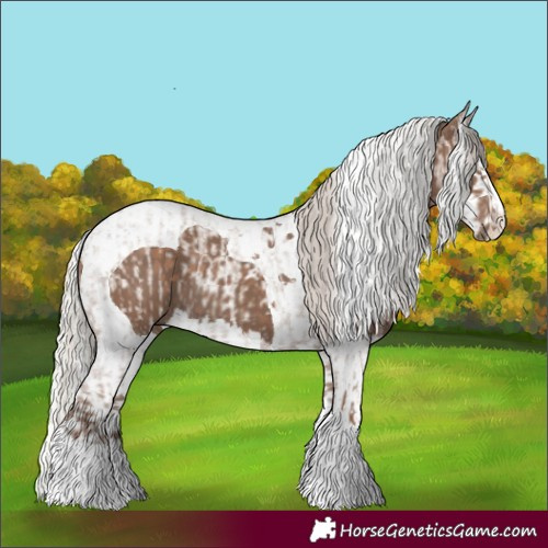 Horse Color:Silver Blue Roan Splash Tobiano  and Silver Black Splash Tobiano 