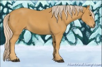 Horse Color:Palomino 