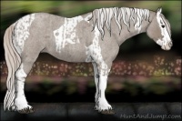 Horse Color:Silver Grullo Roan Splash Tobiano  and Silver Grullo Roan Splash Tobiano 