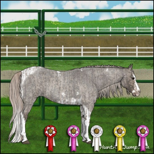 Horse Color:Silver Grullo Roan Splash Tobiano  and Silver Blue Roan Splash Tobiano 