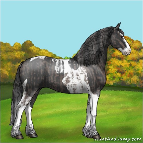 Horse Color:Silver Blue Roan Splash Tobiano  and Blue Roan Splash Tobiano 
